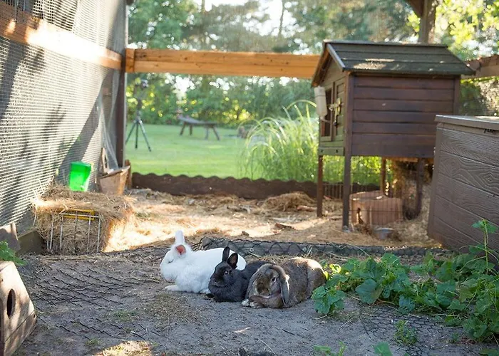 Spreewaldferienwohnungen Stein - شقة