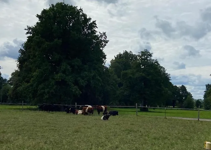 Spreewaldferienwohnungen Stein - شقة